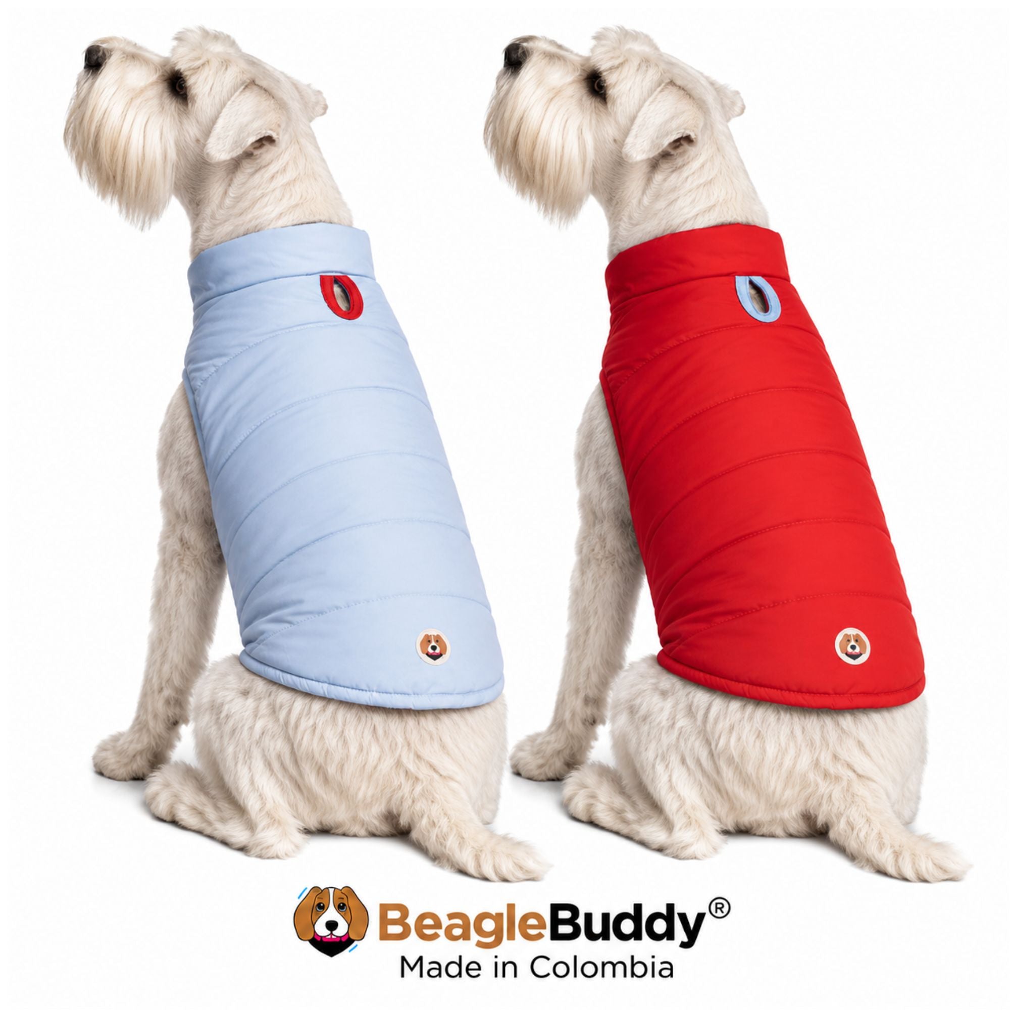 Perros usando chaleco impermeable doble faz BeagleBuddy® color rojo y azul