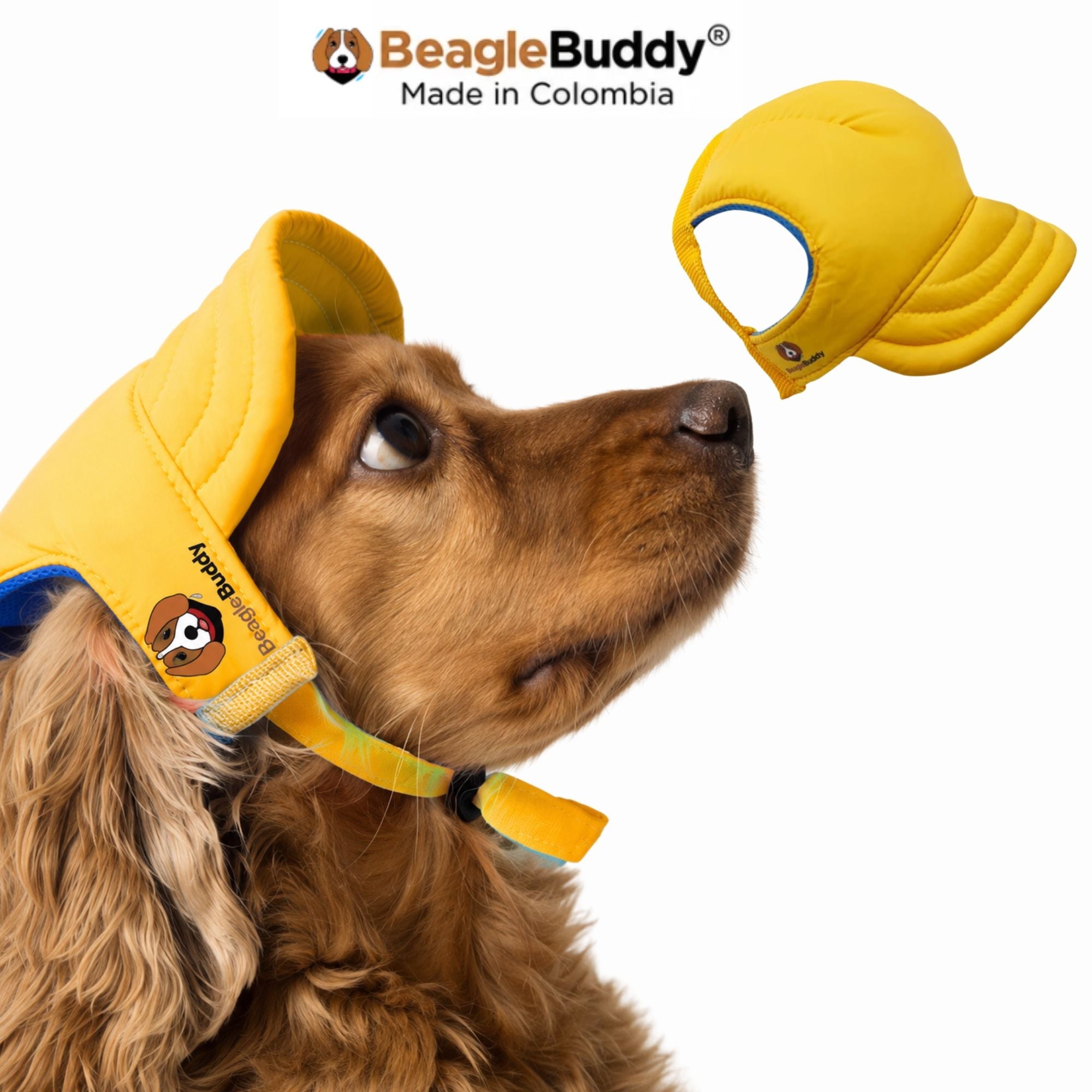 Perro usando gorra para perro BeagleBuddy® color amarillo