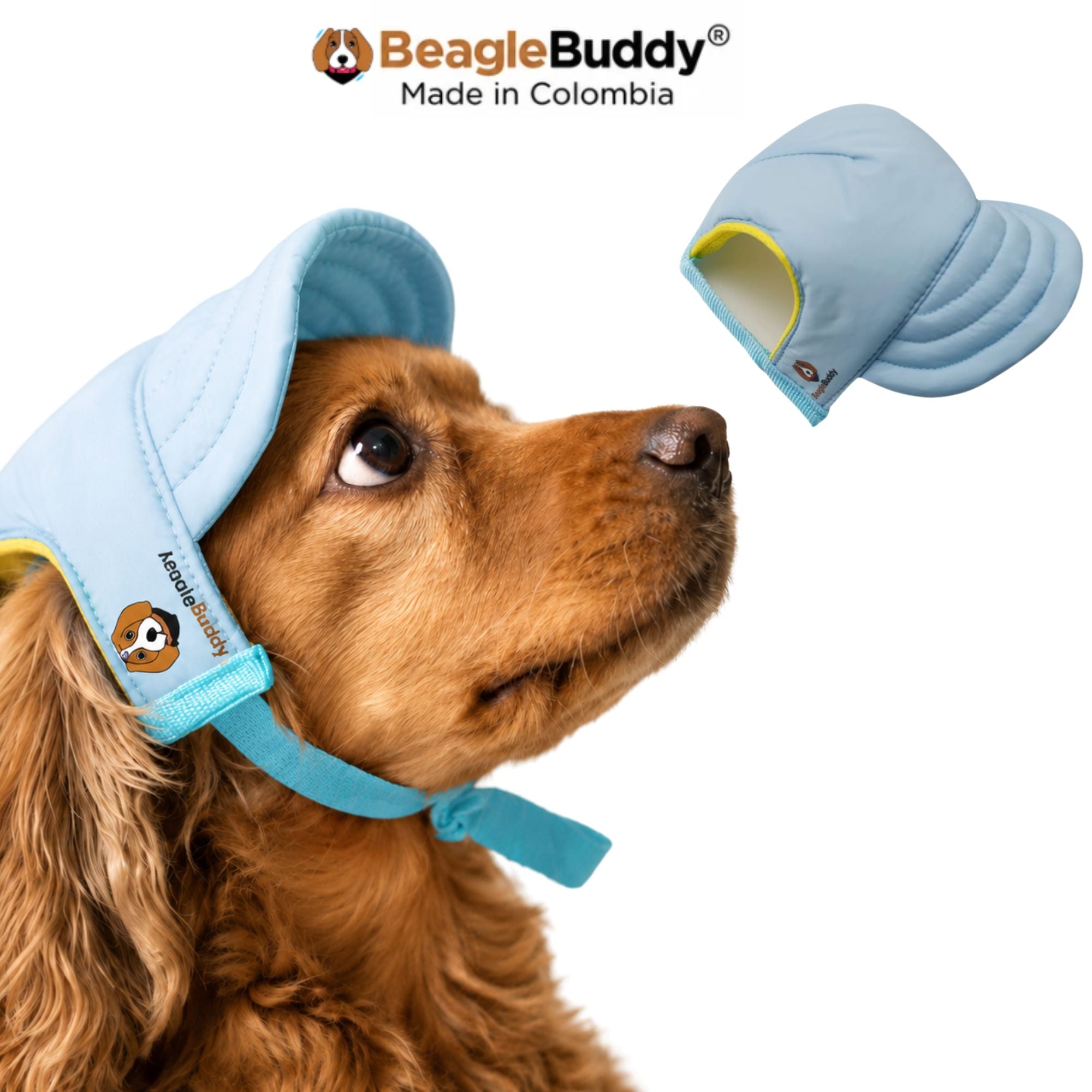 Perro usando gorra para perro BeagleBuddy® color azul claro