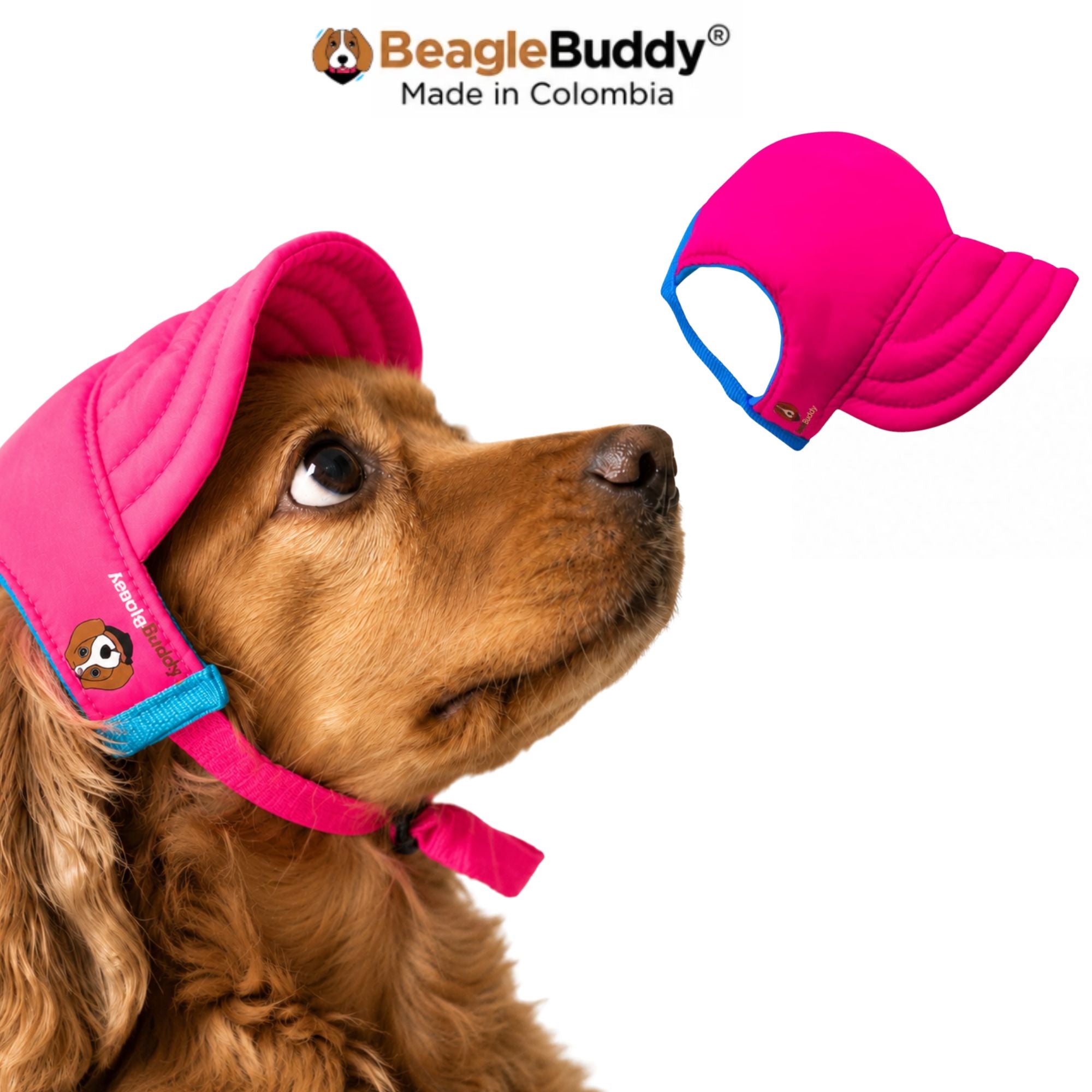 Perro usando gorra para perro BeagleBuddy® color fucsia