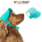 Perro usando gorra para perro BeagleBuddy® color menta.