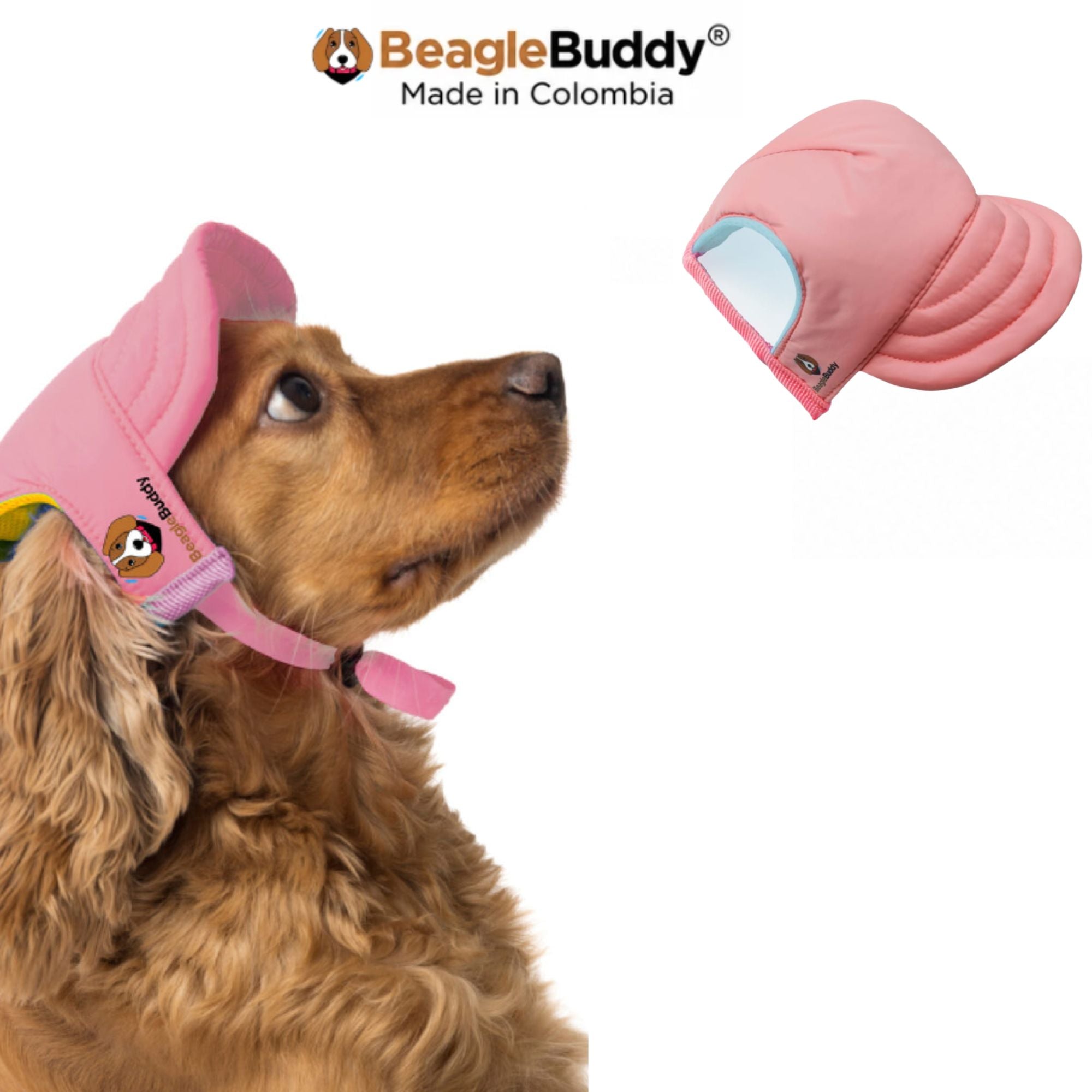Perro usando gorra para perro BeagleBuddy® color rosado.