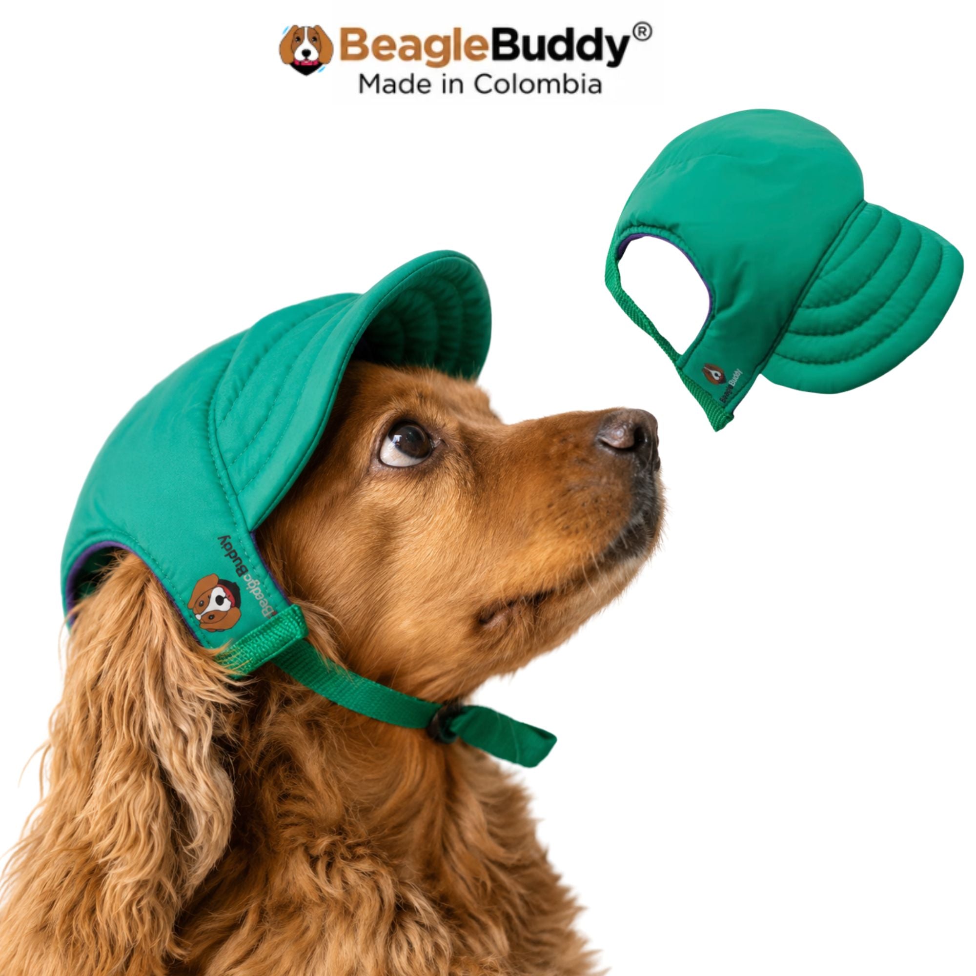 Perro usando gorra para perro BeagleBuddy® color verde.