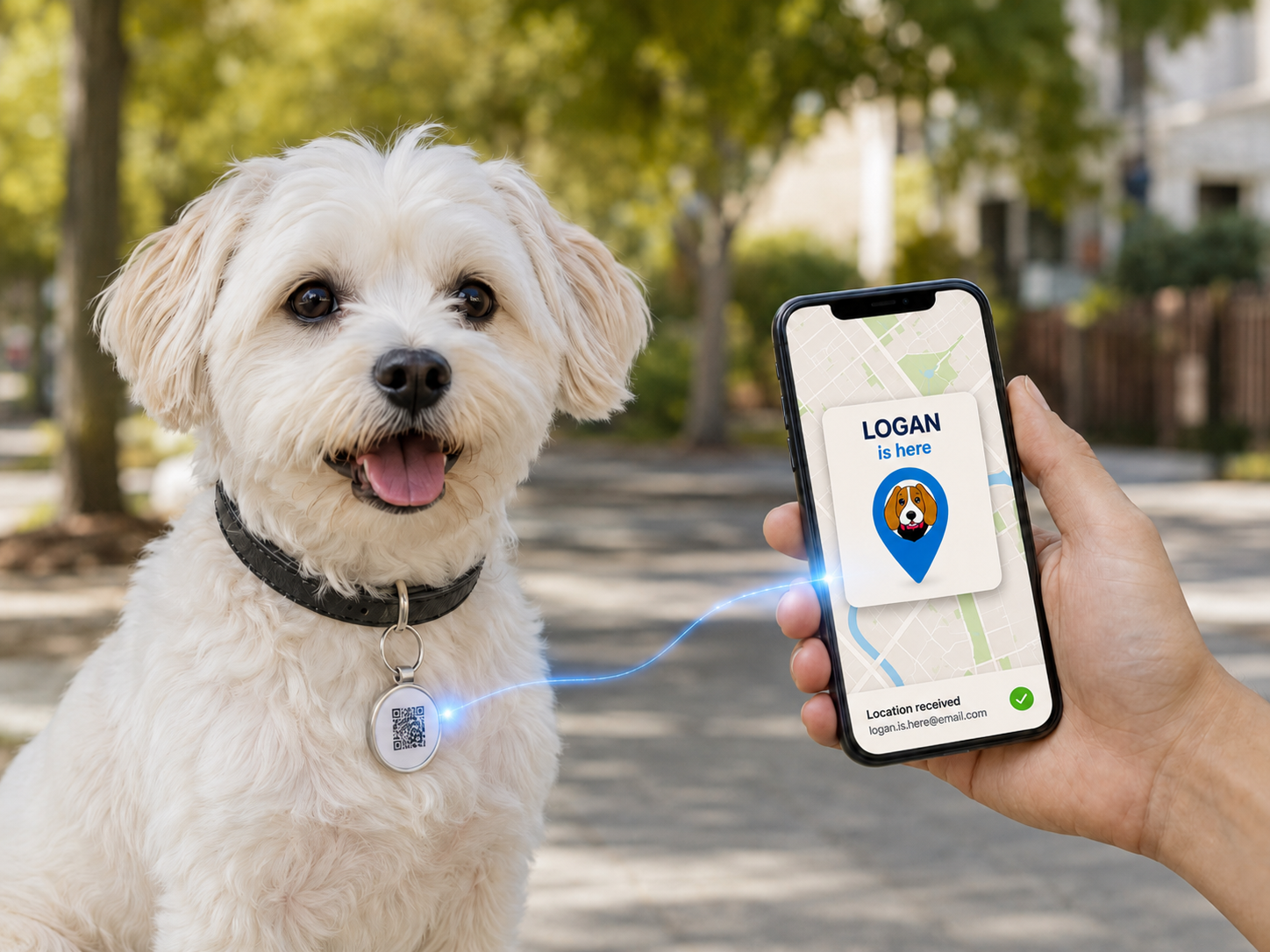 Placa de identificación con código QR para mascotas BeagleBuddy®.