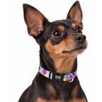 Collar para Perros Ref. LUNA