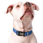 Collar para Perros Ref. BRISA