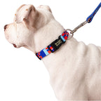 Collar para Perros Ref. CHISPA