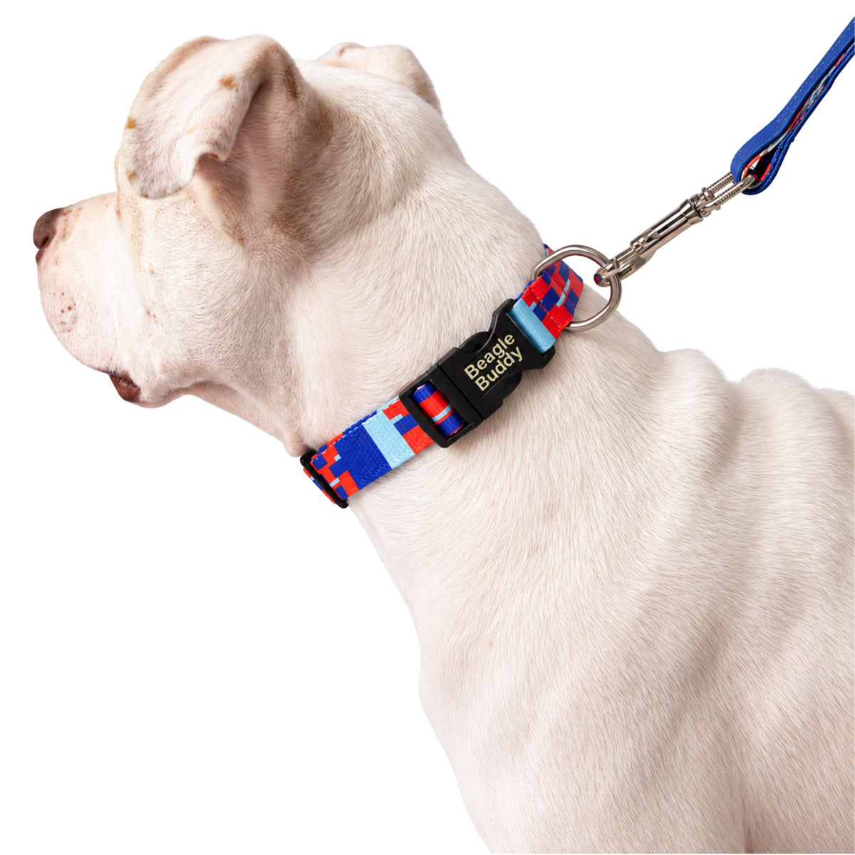 Collar para Perros Ref. CHISPA