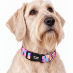 Collar para Perros Ref. CANDY