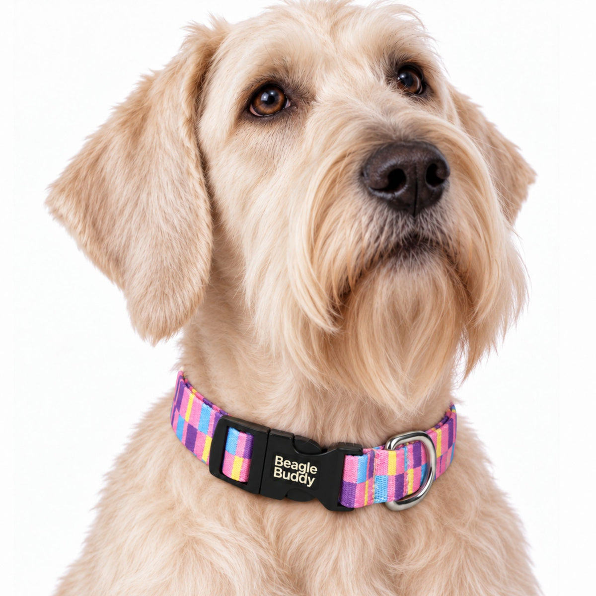 Collar para Perros Ref. CANDY