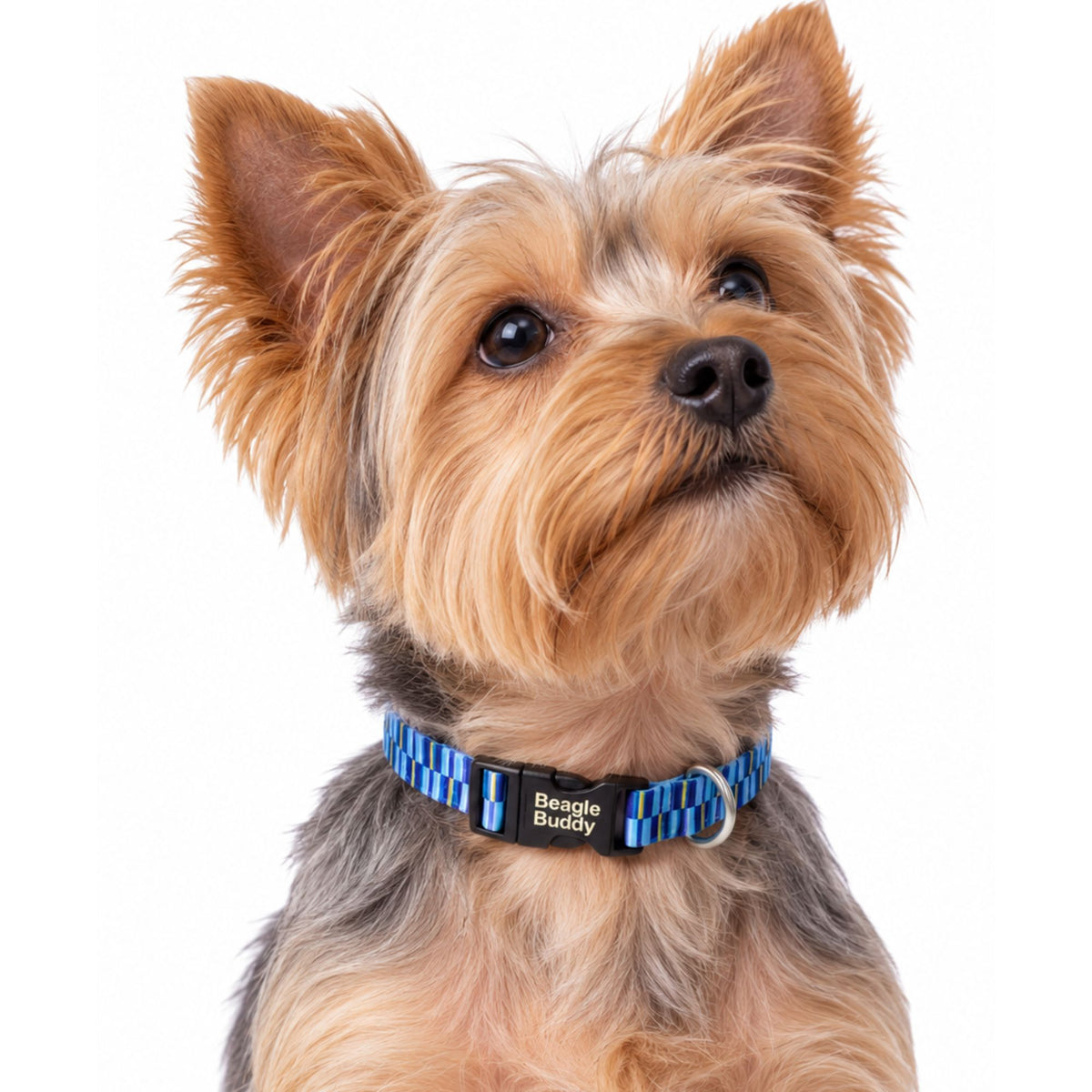 Collar para Perros Ref. BRISA