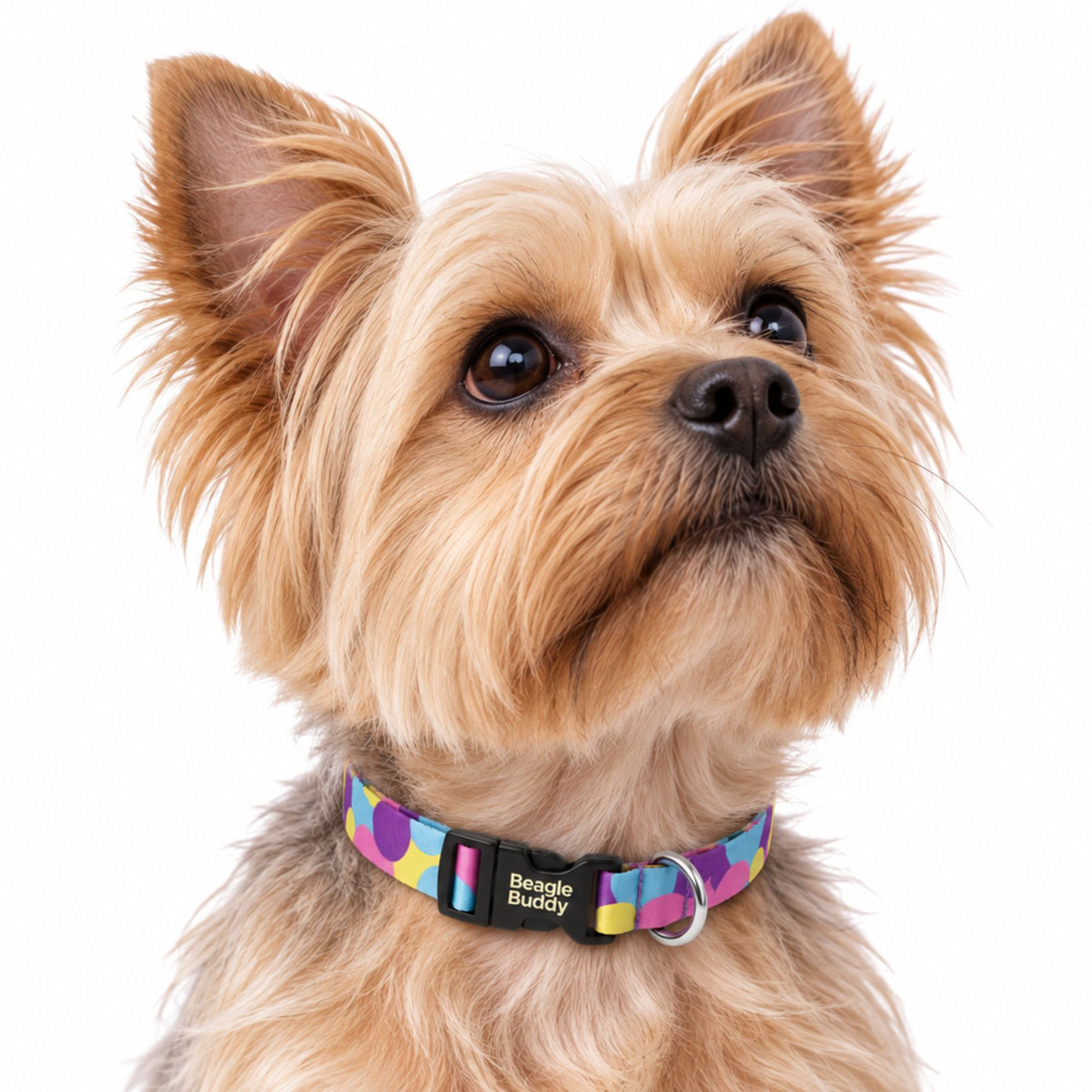 Collar para Perros Ref. LUNA