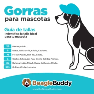 alt="tabla de tallas gorras para perros BeagleBuddy "MENTA"