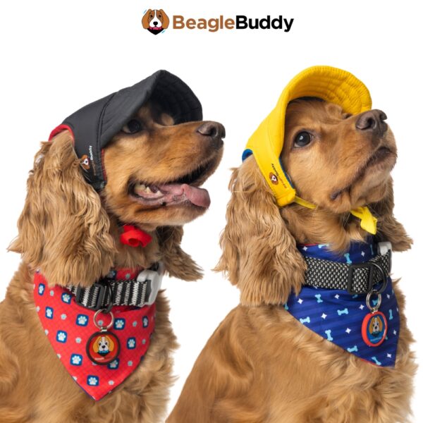 alt="perro usando pañoleta para perros referencia "CLASSIC" de BeagleBuddy