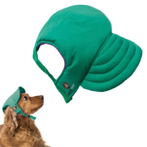 alt="gorra para perros BeagleBuddy referencia "VERDE"
