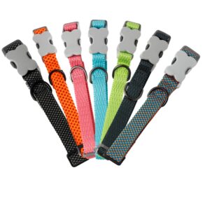 Collares Unicolor Para Perros