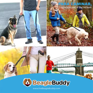 alt="Correas para perros BeagleBuddy para caminar, entrenamiento y senderismo, ideales para seguridad y comodidad."