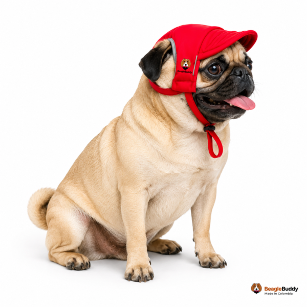 Gorra Roja