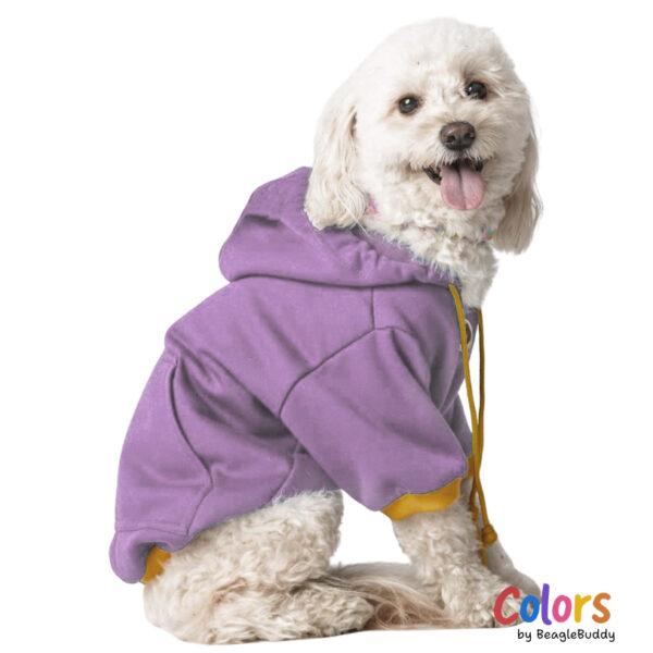 Buzo capucha Lila