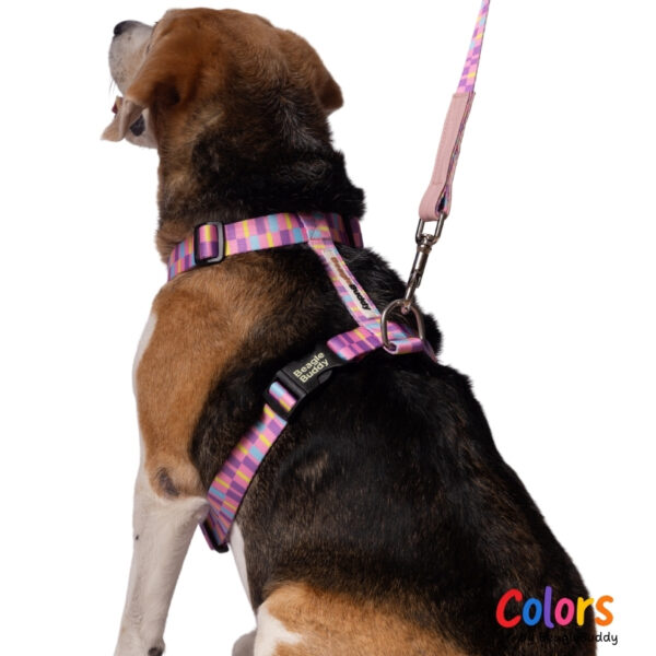 Arnés "Tipo H" Ref. CANDY