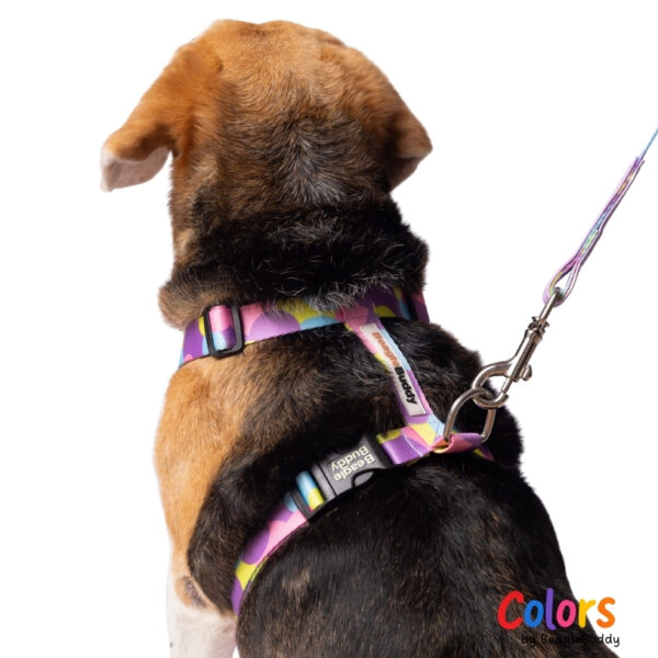 Arnés "Tipo H" Ref. LUNA