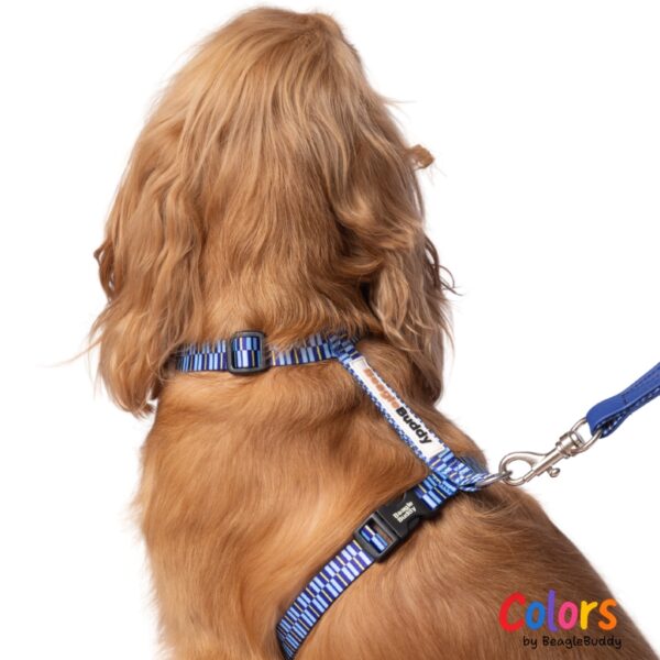 Arnés "Tipo H" Ref. BRISA