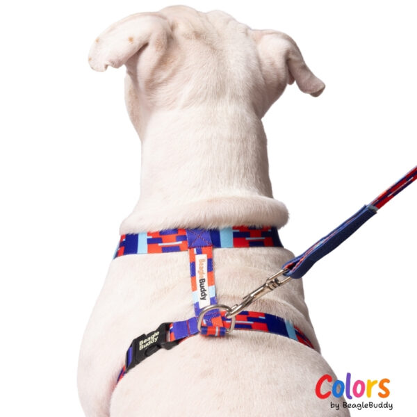 Arnés "tipo H" Ref. CHISPA