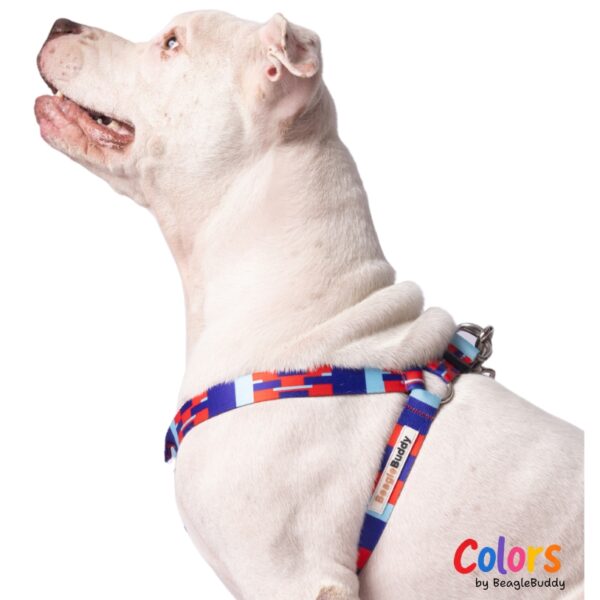 Arnés "Tipo Y" Ref. CHISPA