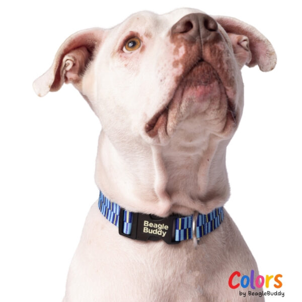 Collar en reata Ref. BRISA